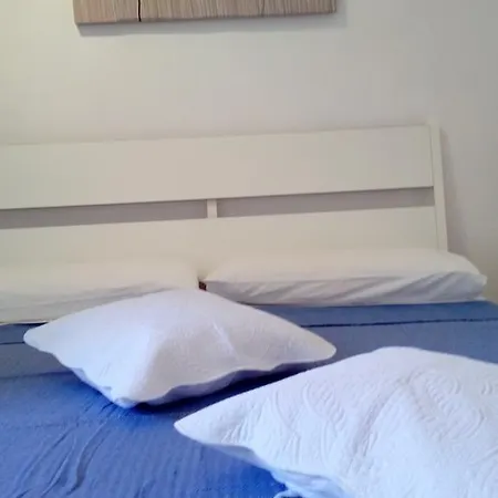 Ensemble Di Vayadu Alassio